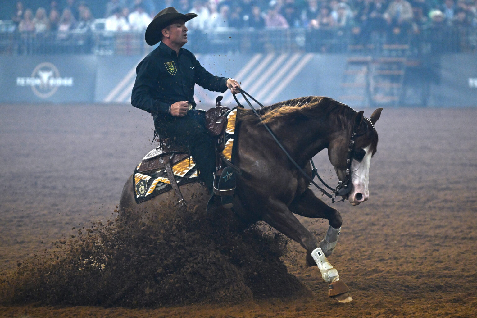 American Rodeo Champions American Rodeo